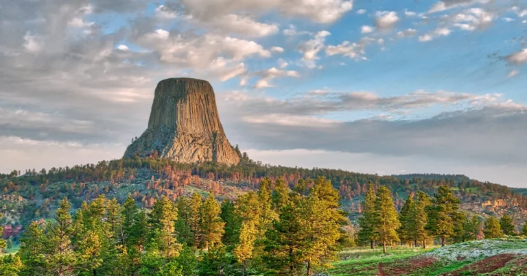 Boost your earnings in these tax-free states in the United States