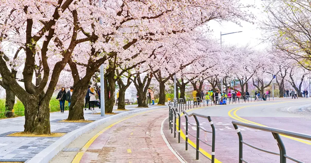 Yeouido Park