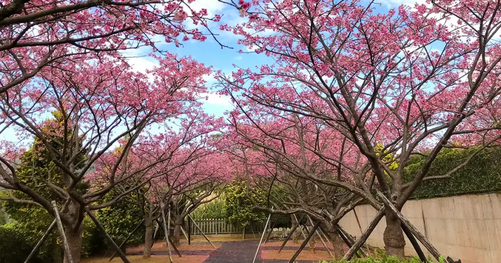 Yangmingshan National Park