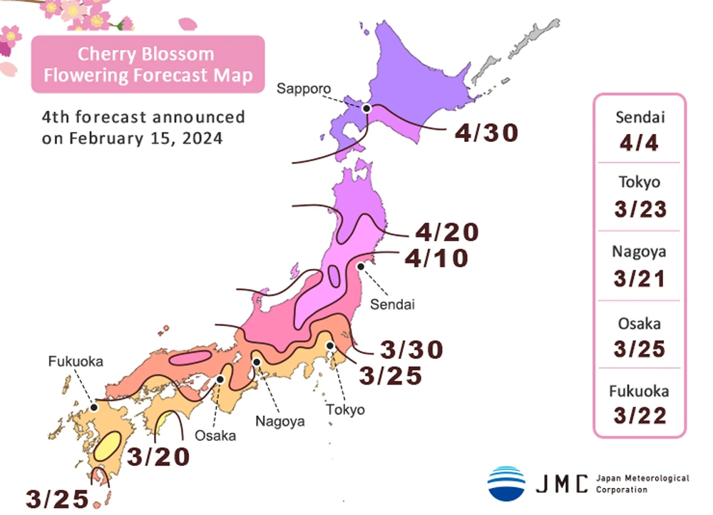 sakura forecast 2024