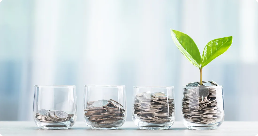 coin plant